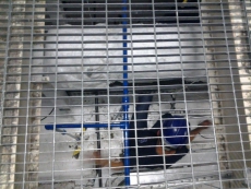 Aplicação de Manta de Lã de Vidro Branca sem Resina Aplicação de Manta de Lã de Vidro Branca sem Resina